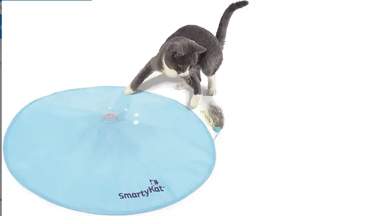 A cat playing with the motion concealed toy
