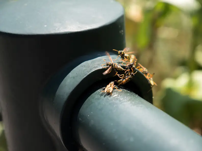 EXIF: 35mm, ISO 200, 1/1000, f/2.8