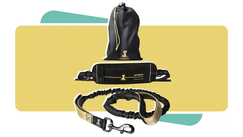 The SparklyPets Hands Free Dog Leash featuring gold trim