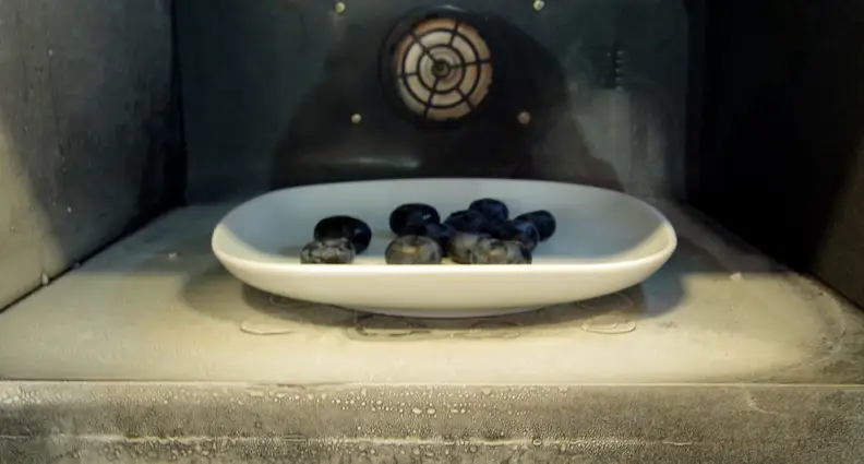 Frigondas Microwave Freezer blueberries — frozen and fresh