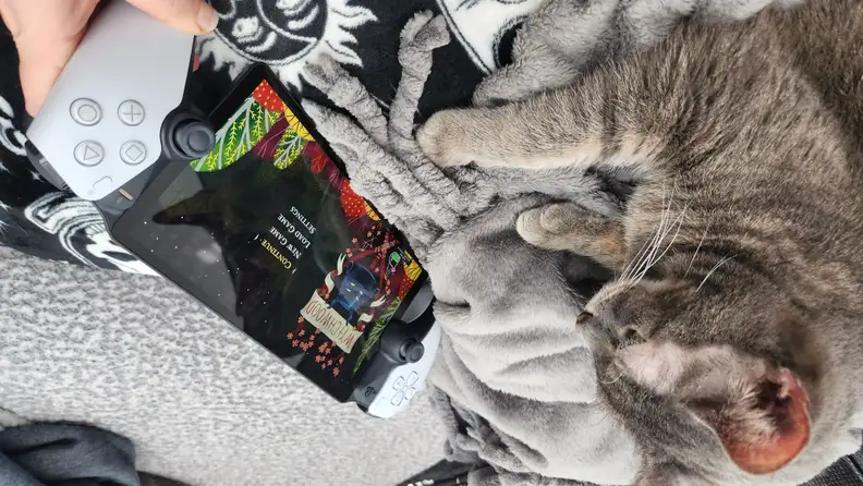 A gray cat looking into the screen of a playstation portal handheld gaming device.