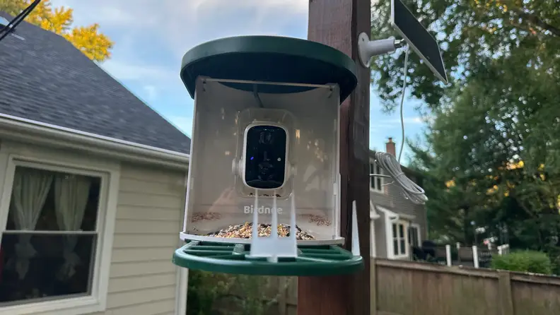 Harymor Q8 Smart Birdfeeder mounted on a pole in a backyard.