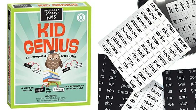 Magnetic Poetry Kids Set