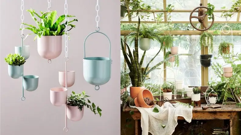 West Elm planters