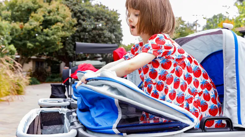 A young child standing in a Gladly Anthem2 stroller wagon playing with the canopy.