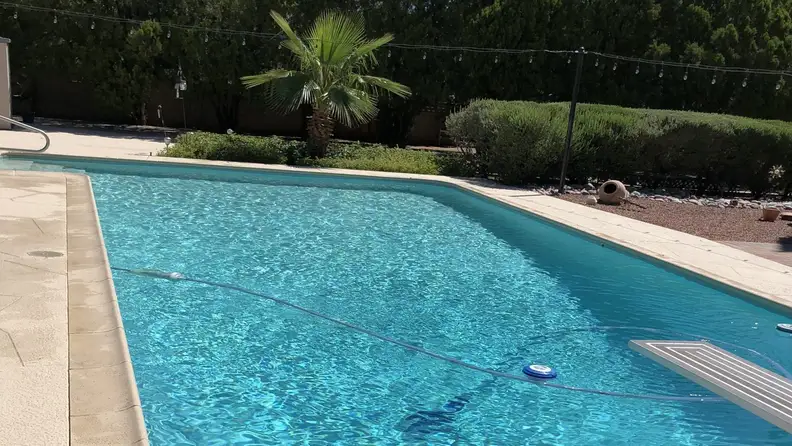 Backyard swimming pool with automatic cleaner hose and diving board