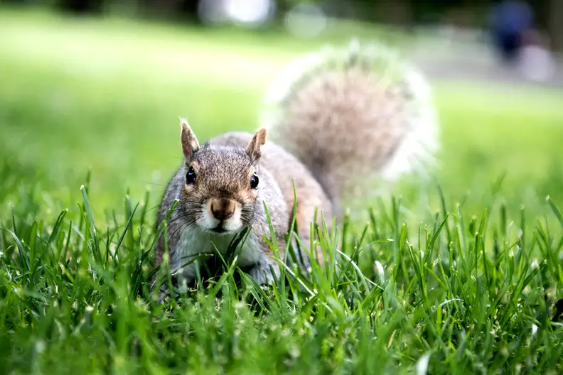 Nikon-d500-sample-13