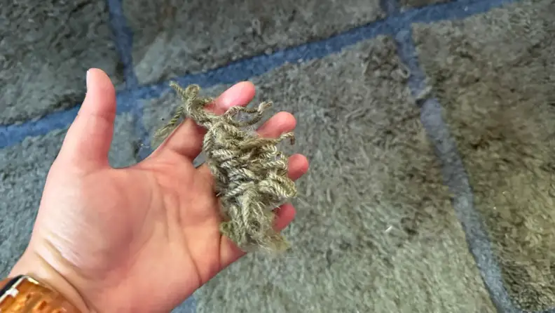 A hand holding a bundle of yarn that’s been pulled off the rug.