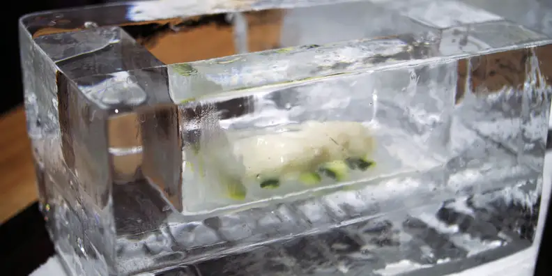 Miele Dialog — cooked fish, frozen ice