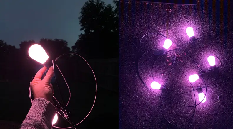 White color setting for Govee outdoor smart string lights