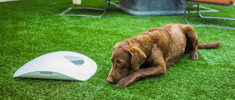 Feed and Go Pet Feeder