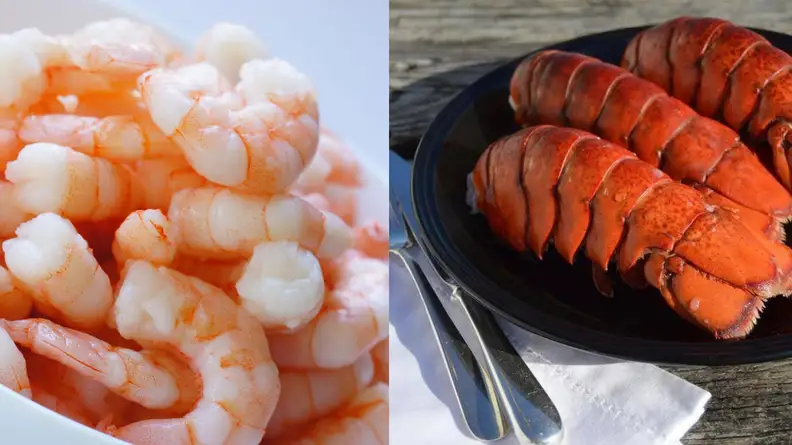 Steamed shrimp and lobster tails