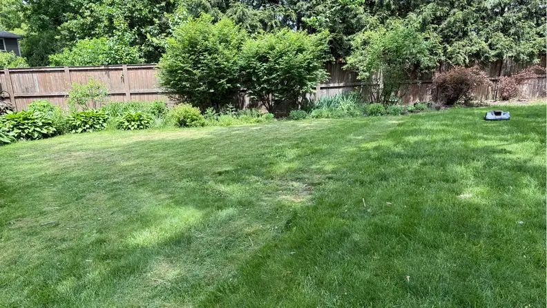 Green lawn and bushes being mowed.