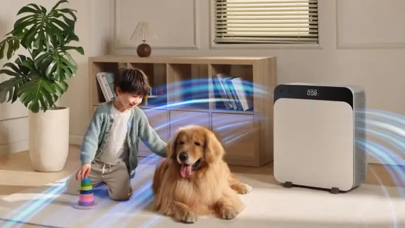 young boy and brown dog next to black and white blueair Classic Pro CP7i air purifier