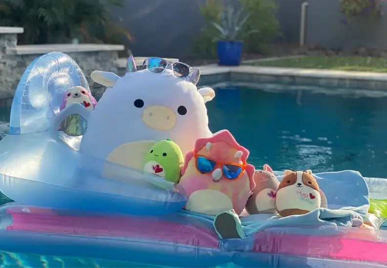 Squishmallows on a pool float in a pool