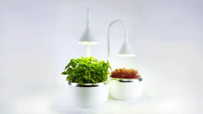 SproutsIO