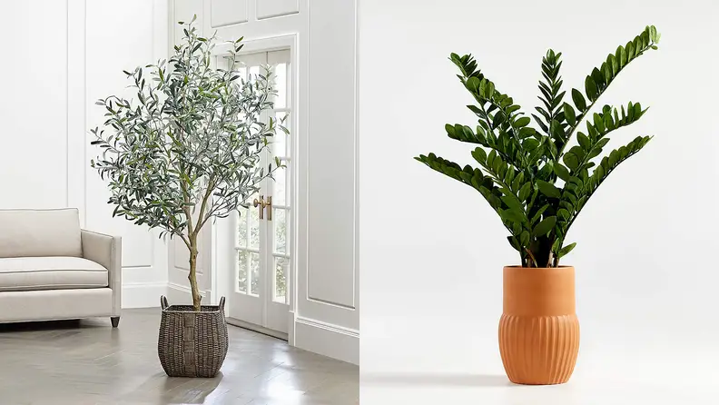 A split image of artificial plants from Crate & Barrel, one of the best places to buy artificial plants.