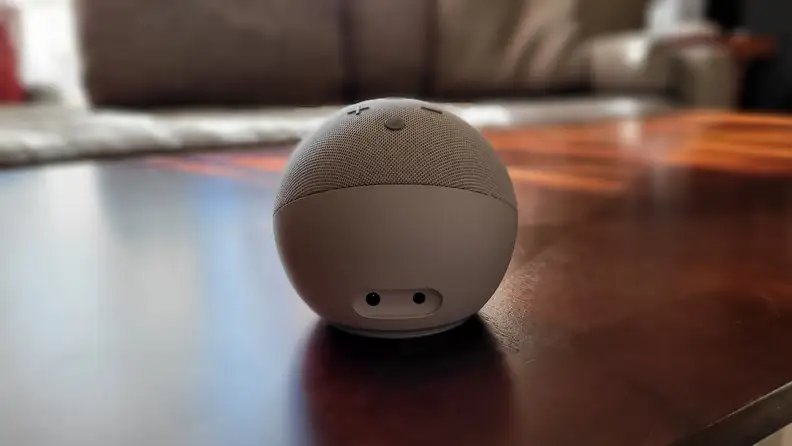 Back of Glacier White Echo Dot