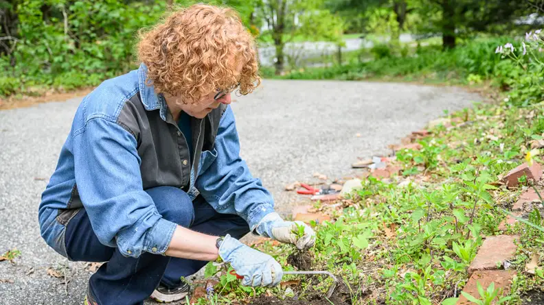 Gardening gloves testing