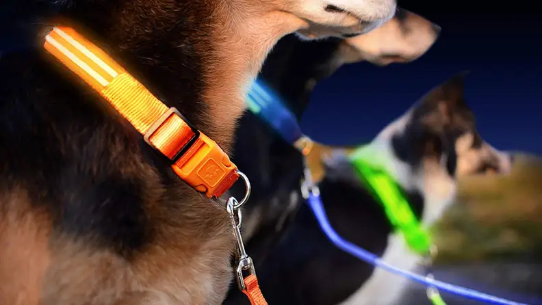 Tech products for your dog