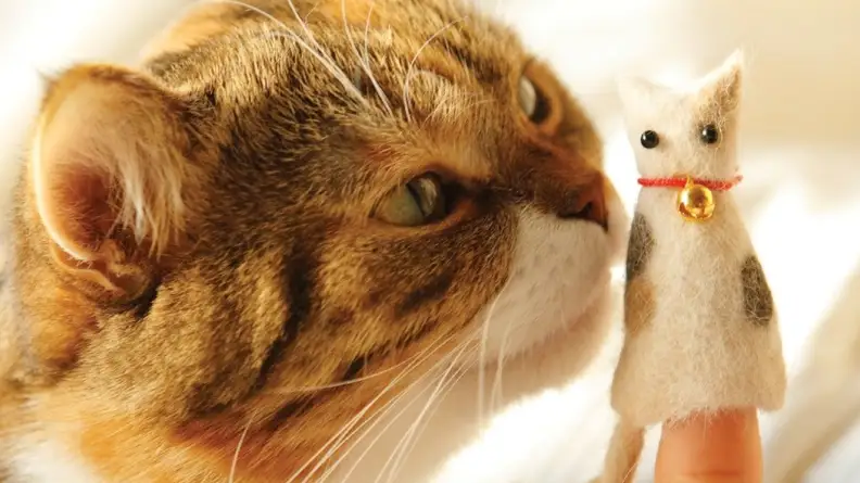 An image of a cat sniffing at a cat-shaped finger puppet.