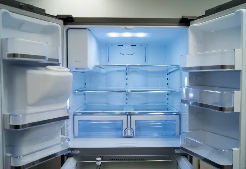 The entire fridge compartment with doors