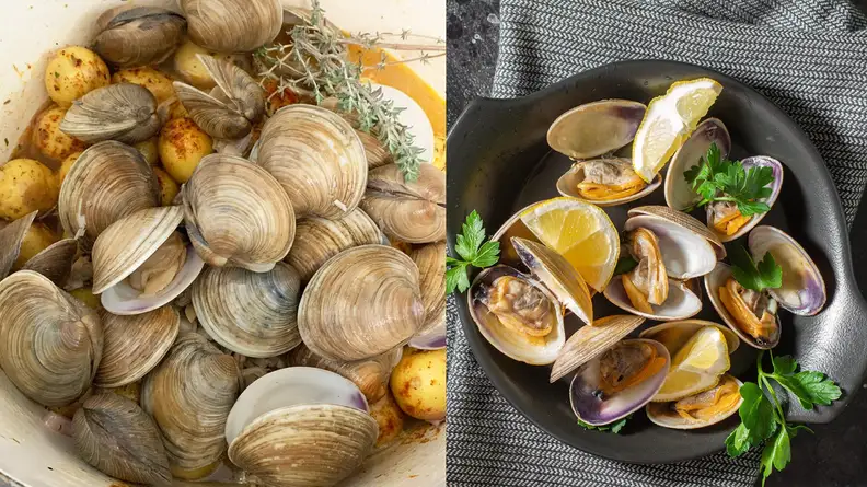 Steamed clams