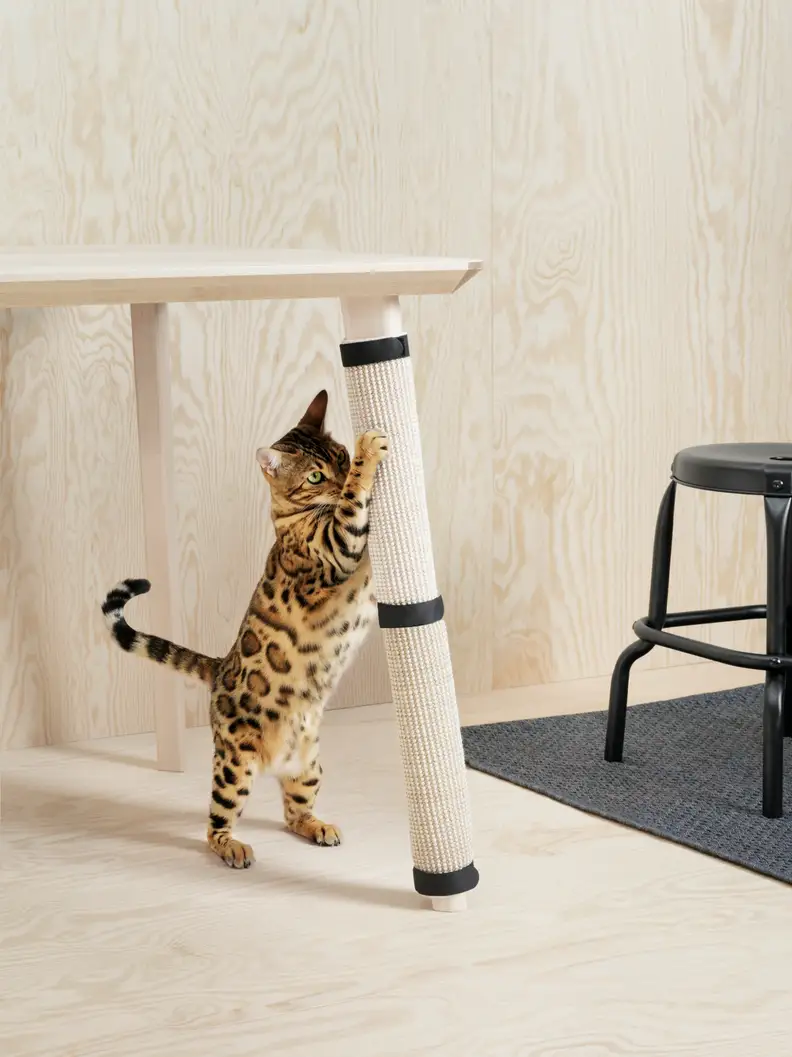 Your cat can sharpen her claws on these sisal mats