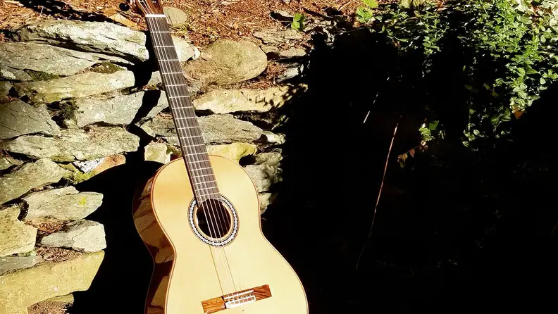 Cordoba Guitars C9 Parlor Classical Guitar