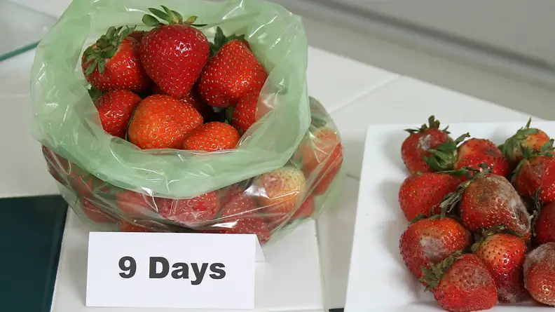 These bags keep produce fresh for longer.
