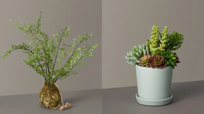 A split image of faux plants from The Sill, one of the best places to buy artificial plants.