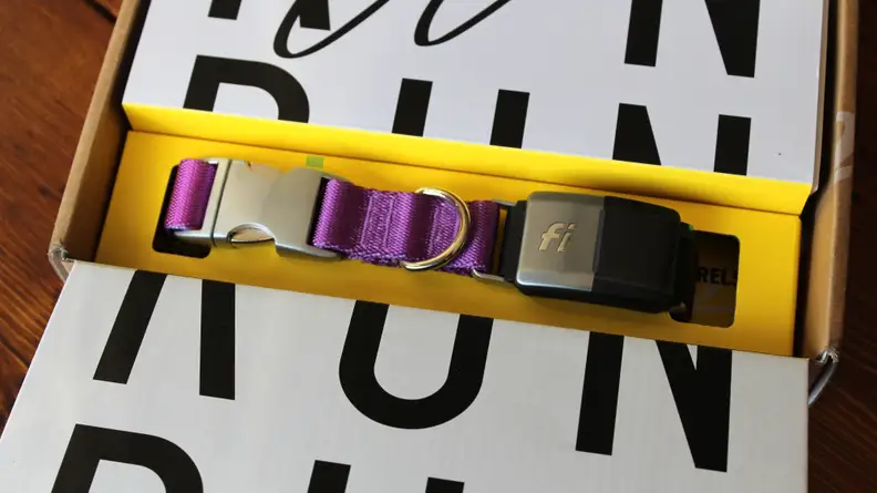 Fi is a smart dog collar that connects to your phone.