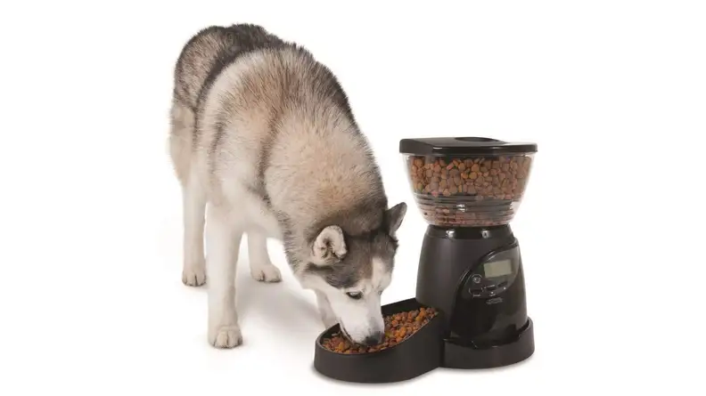 Tech products for your dog