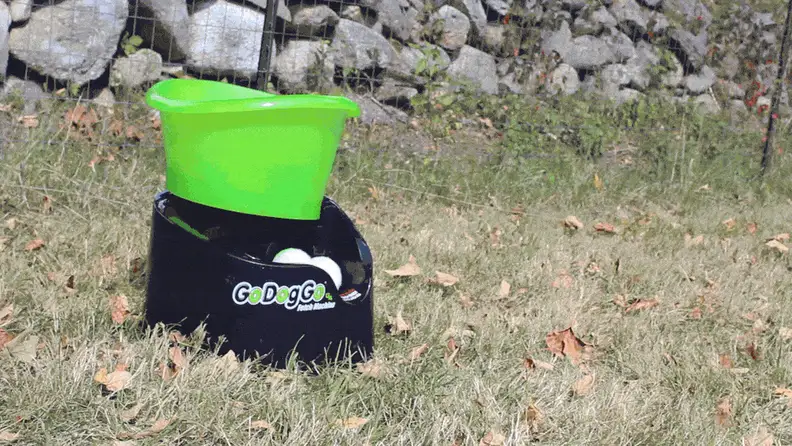 The machine launches balls for your dog to chase down.