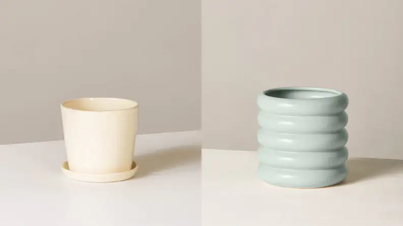 Two planters from the Sill