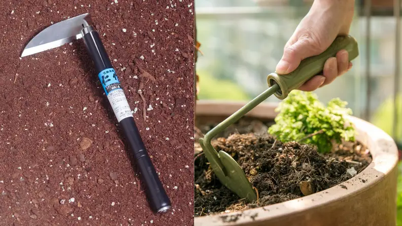 Right-hand and straight garden hand hoe