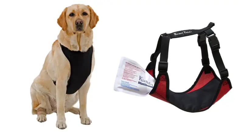 Kumfy Tailz Warming Harness