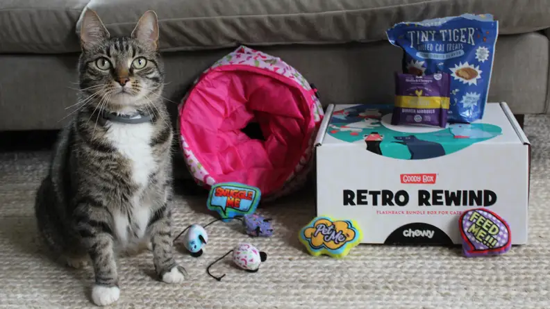 Goody Boxes are filled with curated treats for dogs and cats.