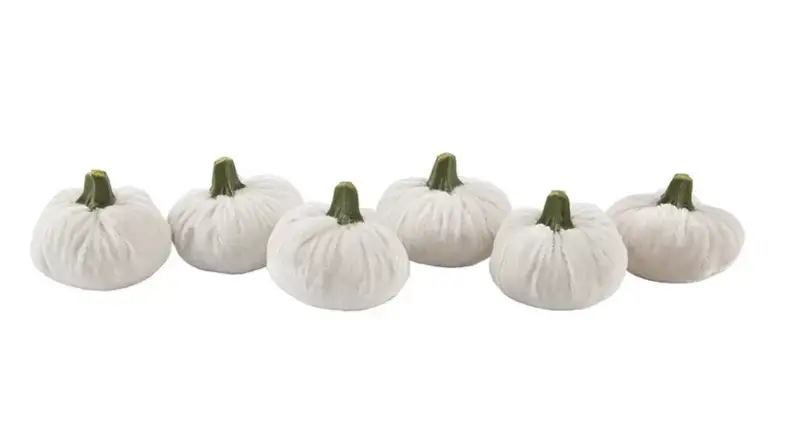 Velvet pumpkins