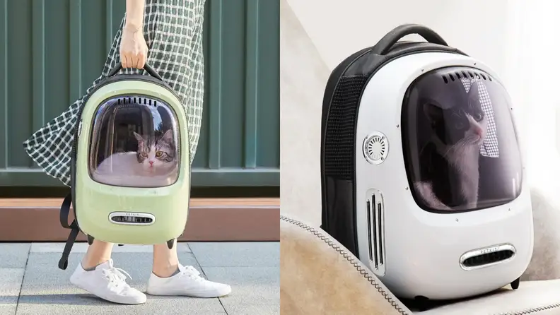 (Left) A cat is carried in a green cat backpack. (Right) A cat sits inside a white cat backpack.