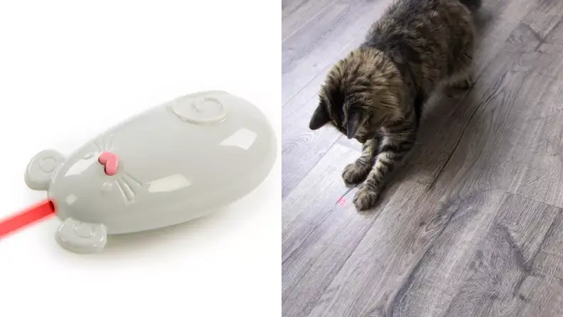 On left, Smartykat Loco Laser pointing red beam. On right, brown and gray cat playing with red laser dot.