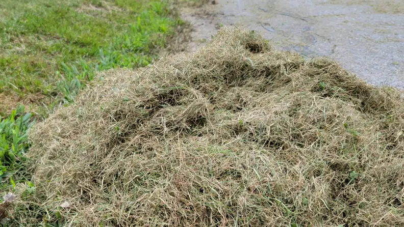 A pile of dead grass clippings