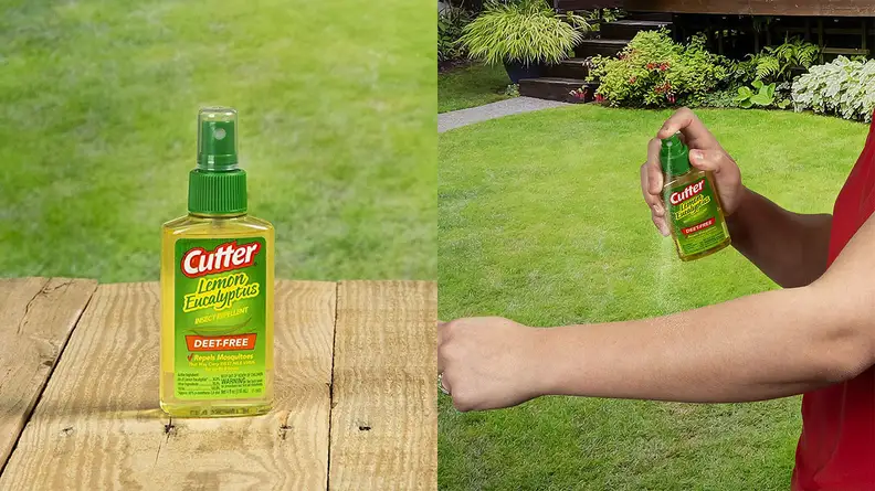 The Cutter Lemon Eucalyptus Insect Repellent.