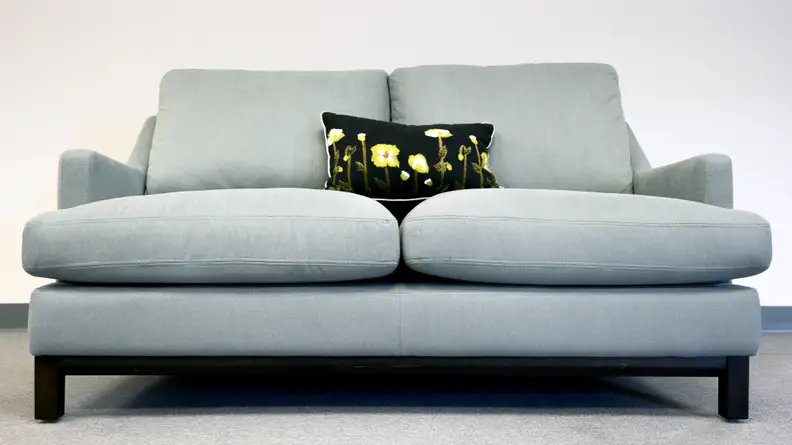 A Stone & Beam couch