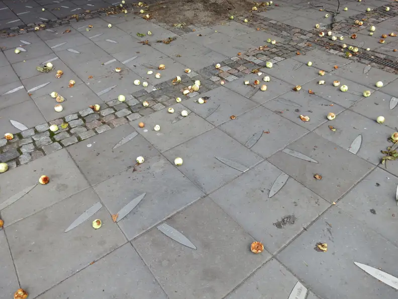 One of the fears of planting more fruiting trees in urban environments is the mess. [Credit: Flickr User "mattimattila" (CC BY-NC-SA 2.0)]