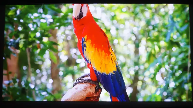 Hisense Laser TV Review