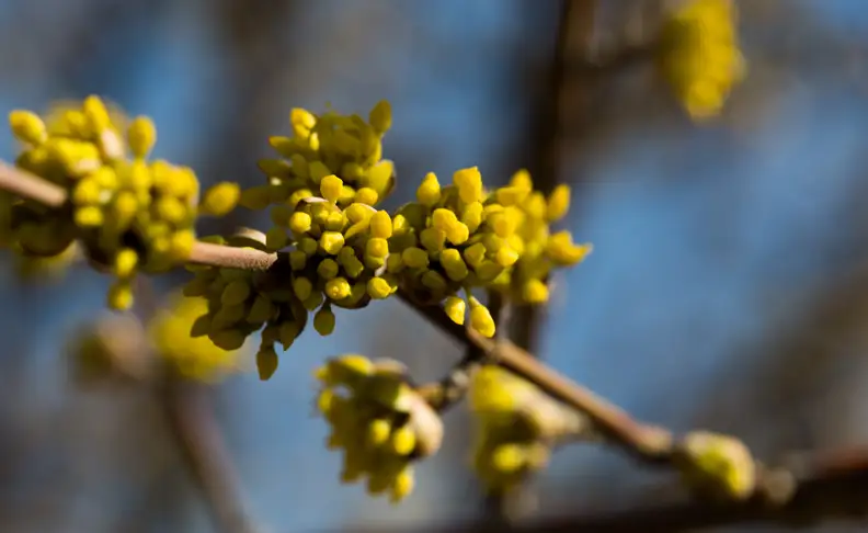 EXIF: 100mm, ISO 50, 1/100, f/8
