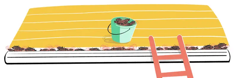 Illustration of a bucket full of deceased cicadas on a roof next to a ladder to clean more cicadas from the roof gutter