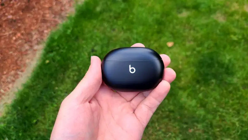 The black Beats Studio Buds are held with the pill-shaped case closed in front of a lush lawn and red mulch.