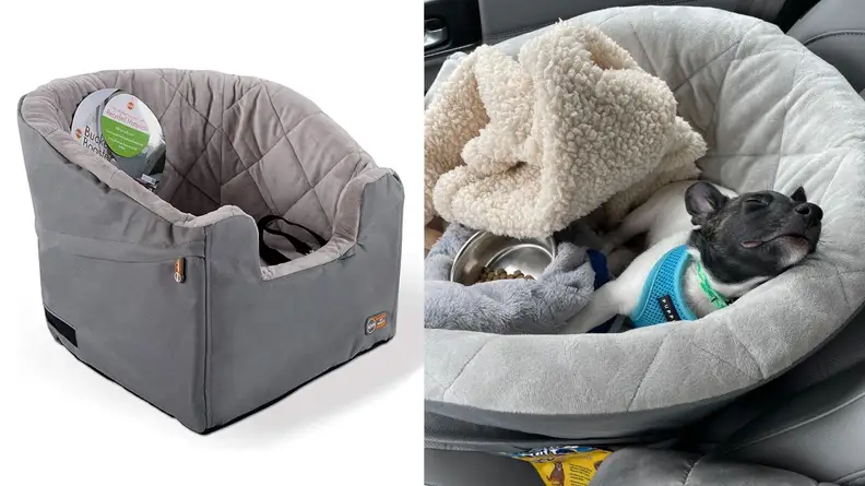 Pup Carseat